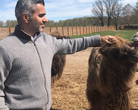 Umar Farooq Zahoor feeding a friendly camel on a peaceful farm, surrounded by open fields and nature.